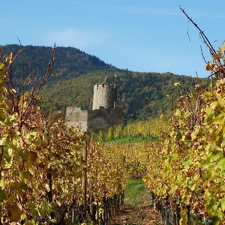 Kle, Bw Signature Collection Hotel 4*