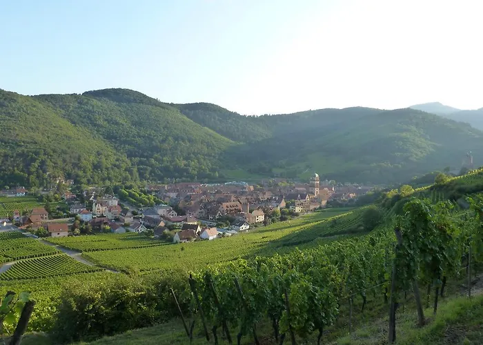 Kle, Bw Signature Collection