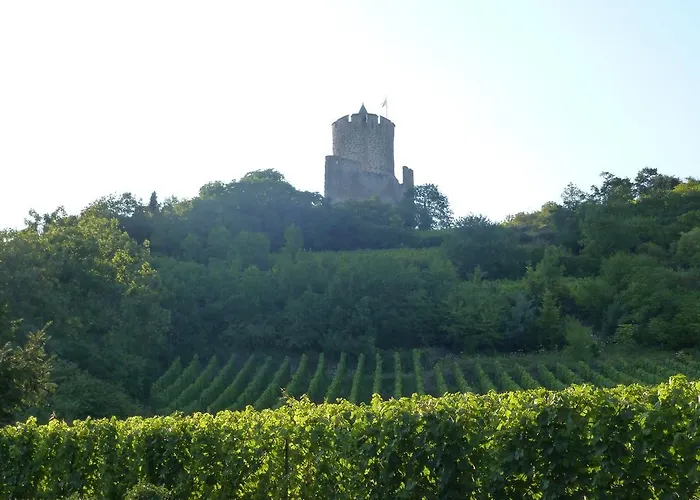 Kle, Bw Signature Collection 4* Kaysersberg-Vignoble