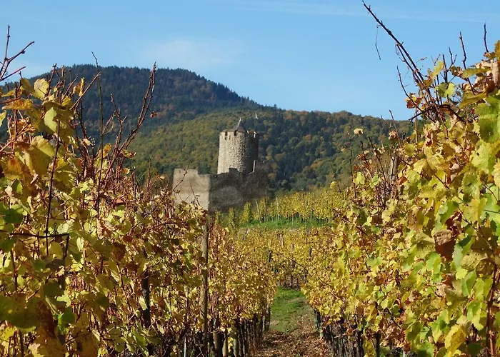 Kle, Bw Signature Collection Hotel 4*