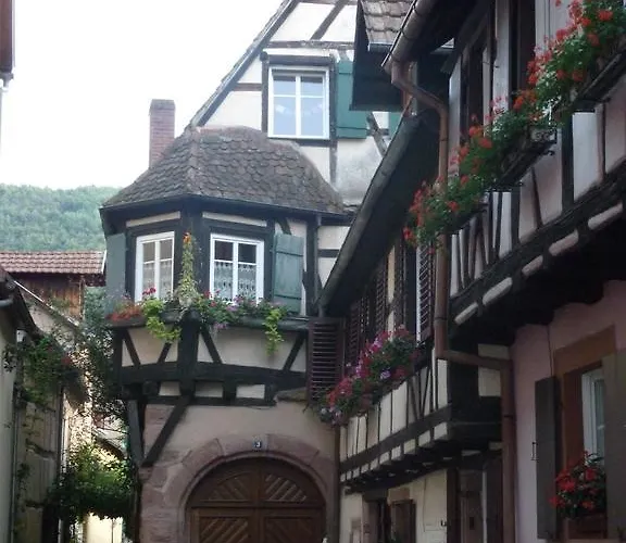 Kle, Bw Signature Collection Kaysersberg-Vignoble