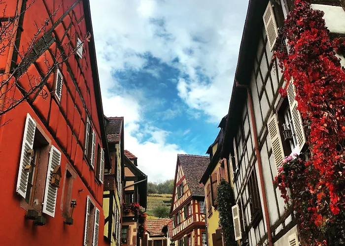 Kle, Bw Signature Collection Hotel 4*