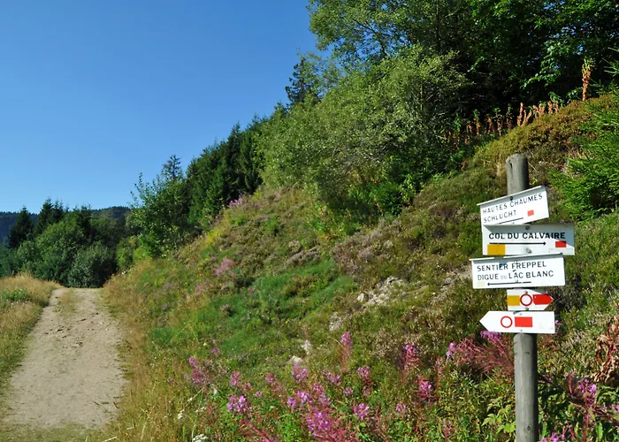 Kle, Bw Signature Collection Hotel Kaysersberg-Vignoble